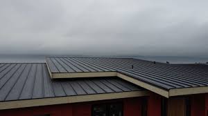 Best Sheet Metal Roofing  in Hector, MN